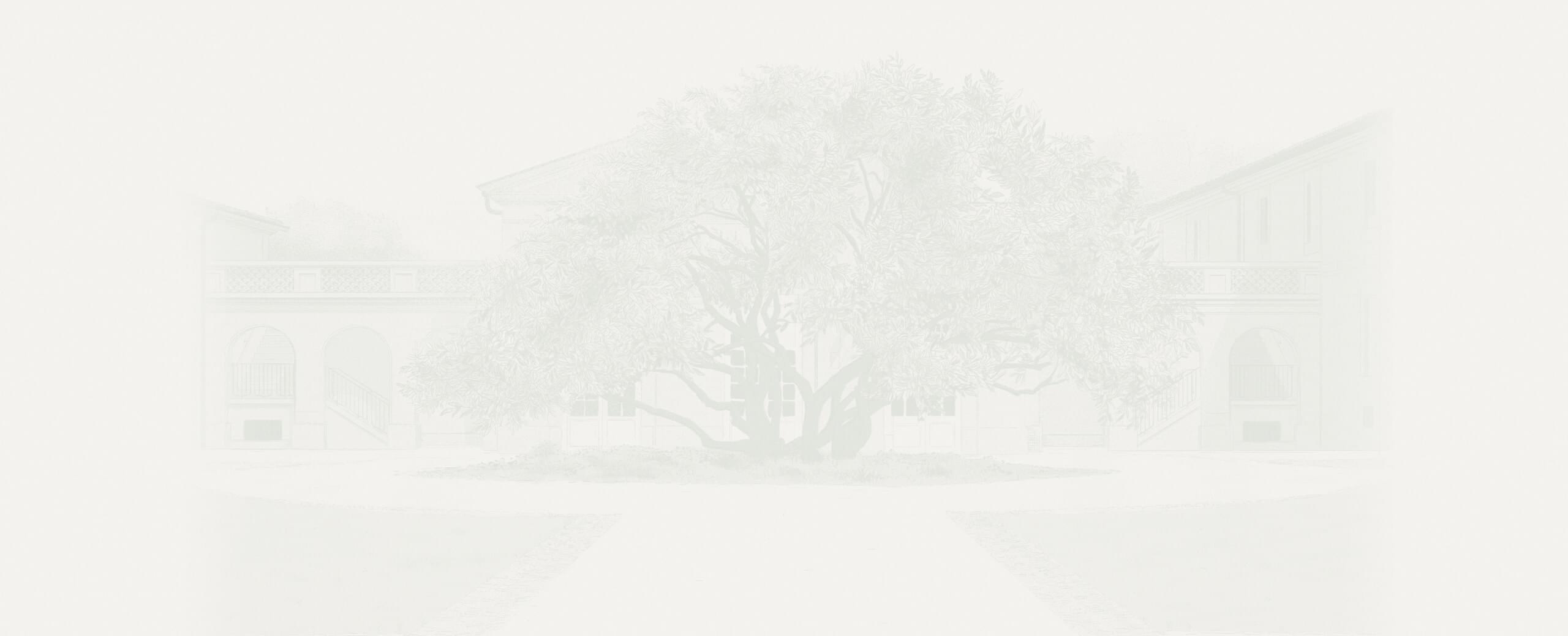 Accueil - Château d'Armailhac