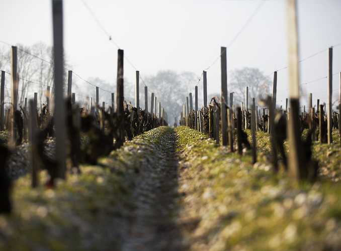 <p>Le Plateau de Pibran en hiver : ses graves profondes reposent sur un sous-sol argilo-calcaire, qui donne à Château d’Armailhac sa finesse et son élégance caractéristiques.</p>
