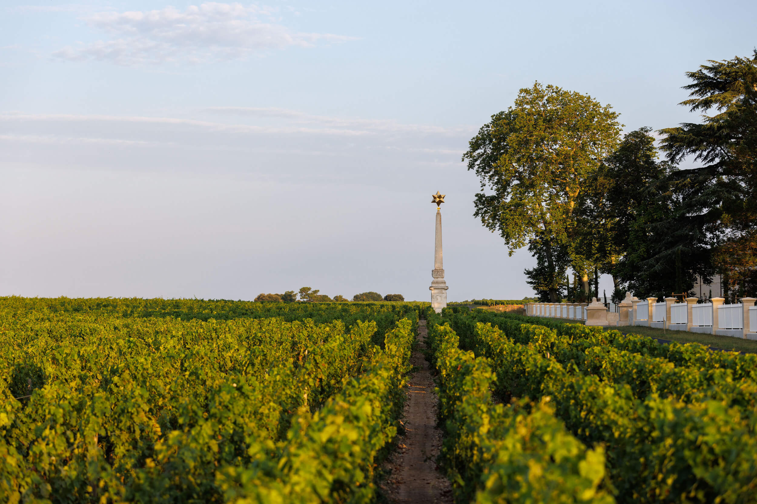 Le terroir - Château d'Armailhac
