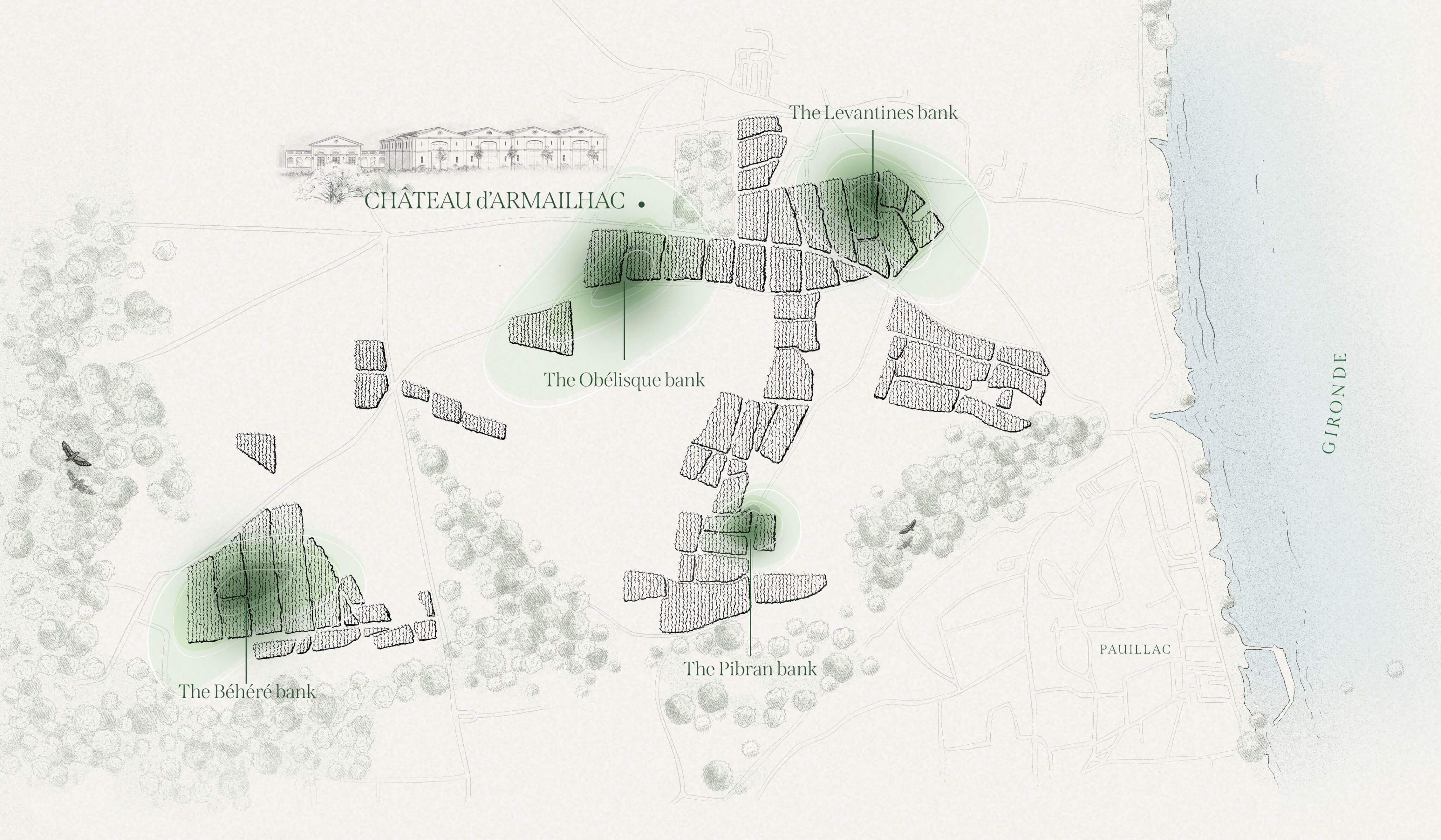 The terroir - Château d'Armailhac